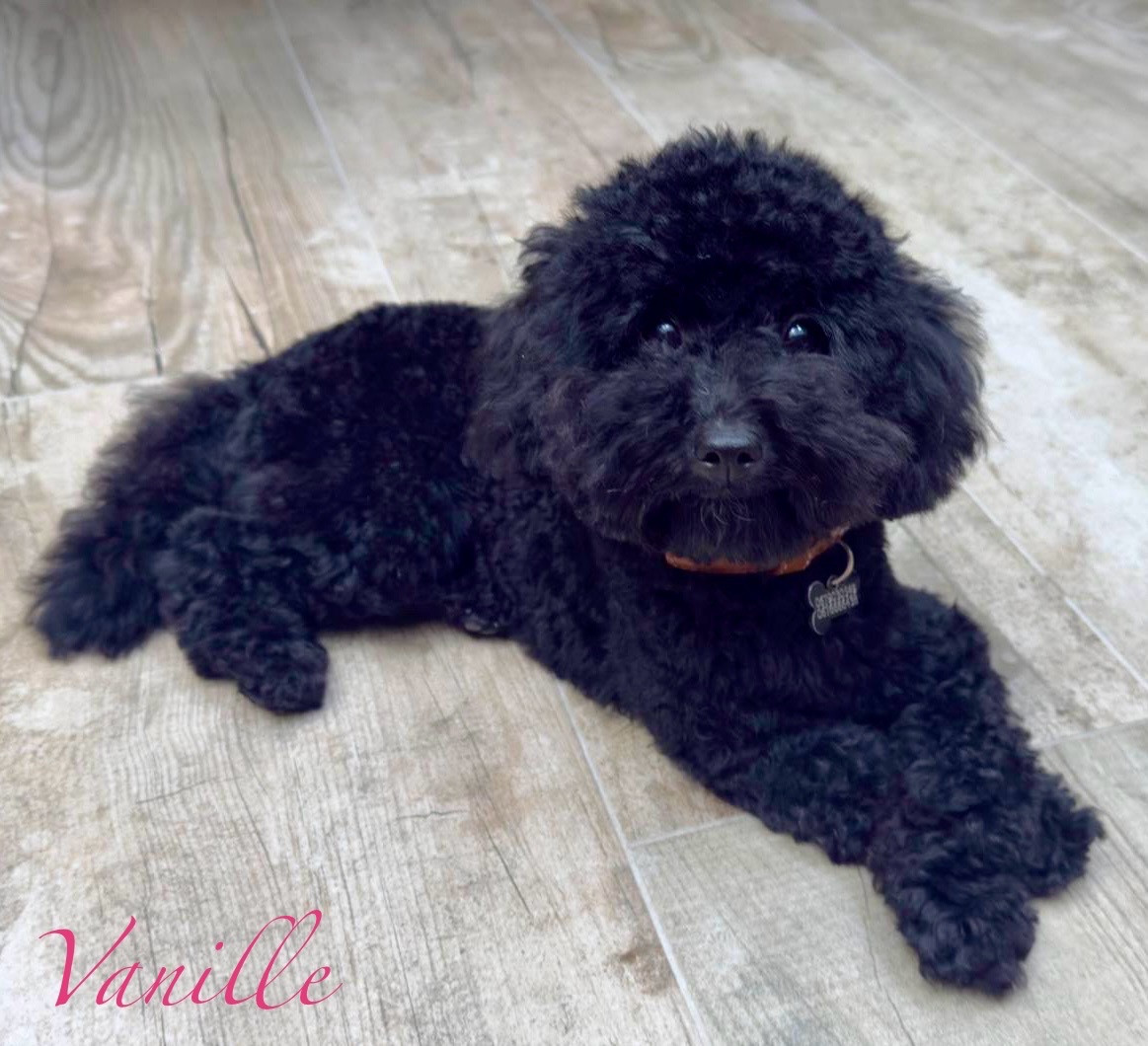 Réservations ouvertes ! 🎄 🎁 💝