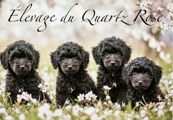 Réservations ouvertes ! 🎄 🎁 💝